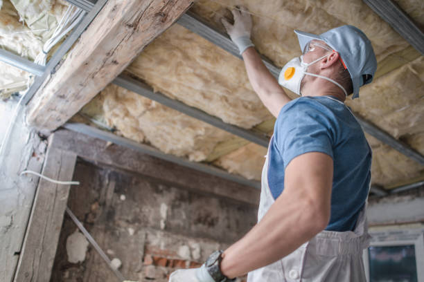 Lake Caroline, VA Insulation Contractor Pros