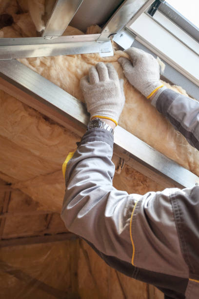 Best Specialty Insulation in Lake Caroline, VA