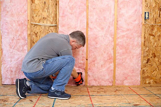 Best Energy Efficiency Solutions in Lake Caroline, VA