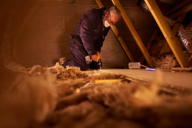 Best Commercial Insulation in Lake Caroline, VA
